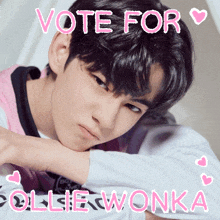 Vote For Ollie Wonka I Love Ollie Wonka GIF - Vote For Ollie Wonka I Love Ollie Wonka GIFs