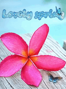 Pink Flower GIF - Pink Flower Butterfly GIFs