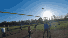 Lion Volleyball GIF - Lion Volleyball Westpark GIFs