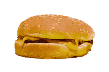 cheese burger yummy burger spin food
