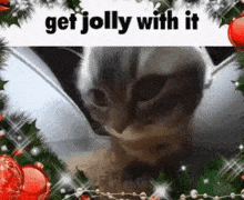 Jolly Time Christmas GIF - Jolly Time Christmas Christmas Cat GIFs