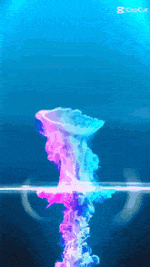 a picture of a jellyfish is being created by capcut