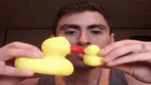Duck Kiss GIF