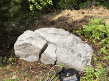 Clean Rock GIF - Clean Rock GIFs