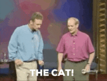 The Cat Whose GIF - The Cat Cat Whose GIFs