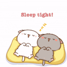sleep tight