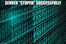 a computer screen with the words server stopped successfully