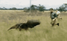 Anteater Run GIF - Anteater Run Escape GIFs