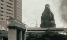 Godzilla Godzilla Vs Destoroyah GIF - Godzilla Godzilla Vs Destoroyah Godzilla Junior GIFs