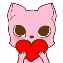 cute cat animal loveheart expression