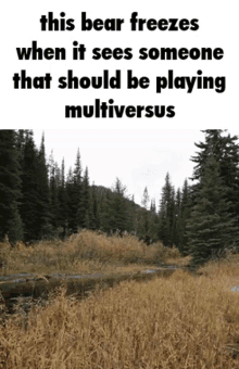 This Bear Freezes Hop On Multiversus GIF - This Bear Freezes Hop On Multiversus Multiversus GIFs