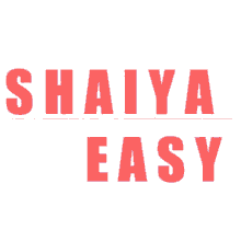 Bianeasy Shaiya Easy GIF - Bianeasy Shaiya Easy GIFs