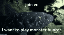 Fish Vc Monster Hunter GIF - Fish Vc Monster Hunter Join Vc GIFs