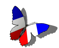 Francais Butterfly Sticker - Francais Butterfly Beautiful Stickers
