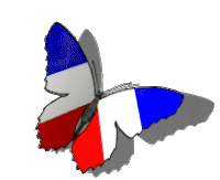 Francais Butterfly Sticker - Francais Butterfly Beautiful Stickers