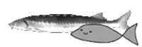 a drawing of a dog holding a fish in its mouth .