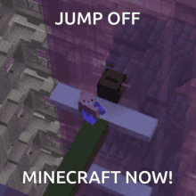 Jump Off Jump Off Minecraft GIF - Jump Off Jump Off Minecraft Memelie GIFs