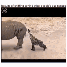 What Happens To Nosey People In Your Business Funny GIF - What Happens To Nosey People In Your Business Funny GIFs