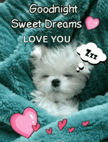 a puppy is sleeping under a blanket with the words " goodnight sweet dreams love you " above it