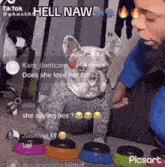 Hell Naw Hell Naw Dog GIF - Hell Naw Hell Naw Dog Funny GIFs