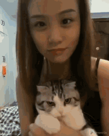 Cat Freaking Out GIF - Cat Freaking Out Nope Nope Nope GIFs