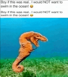 Boy If This Was Real I Would Not Want To Swim In The Ocean GIF - Boy If This Was Real I Would Not Want To Swim In The Ocean GIFs