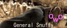 snuffy general snuffy
