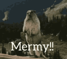 Yell Mermy GIF - Yell Mermy Gopher GIFs