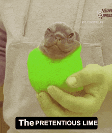 a person holding a green ball that says the pretendious lime on the bottom