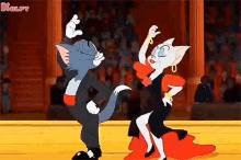 David Warner Tiktok Videos During This Lockdown Be Like Tom And Jerry GIF