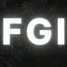 Fgi Dtf GIF - Fgi Dtf Daun Team Nation GIFs