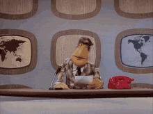 Muppets Muppet Show GIF - Muppets Muppet Show News Flash GIFs