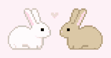 Bunny Kawaii GIF - Bunny Kawaii Cute GIFs