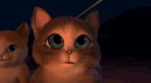 Wut What GIF - Wut What Puss In Boots GIFs