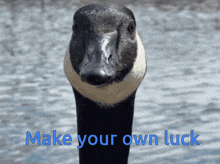 a picture of a goose with the words make your own luck underneath it