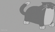 Cat Happy Dance GIF - Cat Happy Dance Cartoon GIFs