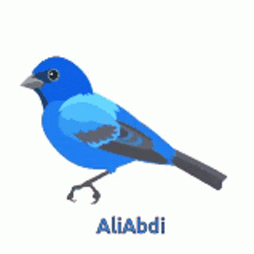 Bird GIF - Bird - Descubre y comparte GIF