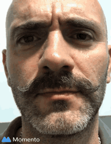 a man with a beard and mustache has a momento logo in the corner