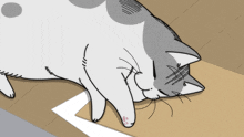 a drawing of a cat laying on a table