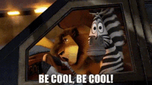 Madagascar Marty GIF - Madagascar Marty Be Cool Be Cool GIFs