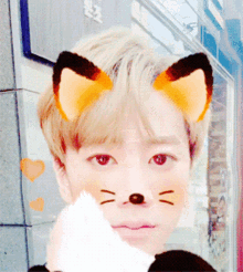 a person with fox ears on their head