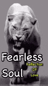 a poster of a lion with the words fearless reflection of soul on it