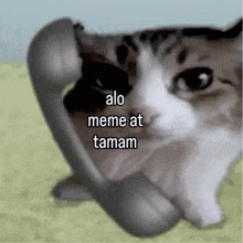 a cat is talking on a telephone with the words alo meme at tamam written on it