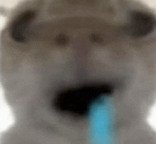a blurry picture of a cat with its mouth open and a blue object sticking out of its mouth .