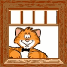 Window Cat GIF