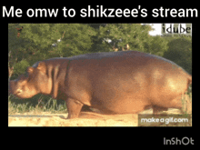 Shikzeee Stream Omw To GIF - Shikzeee Stream Stream Shikzeee GIFs
