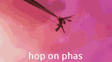 Bort Phas GIF - Bort Phas Hop On Phas GIFs