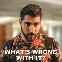 What'S Wrong With It Rudy Ayoub GIF - What'S Wrong With It Rudy Ayoub What'S The Problem With That GIFs