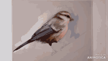 a person is painting a bird on a canvas with the words made in animotica on the bottom right