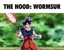 Goku Wormsur GIF - Goku Wormsur R2da GIFs